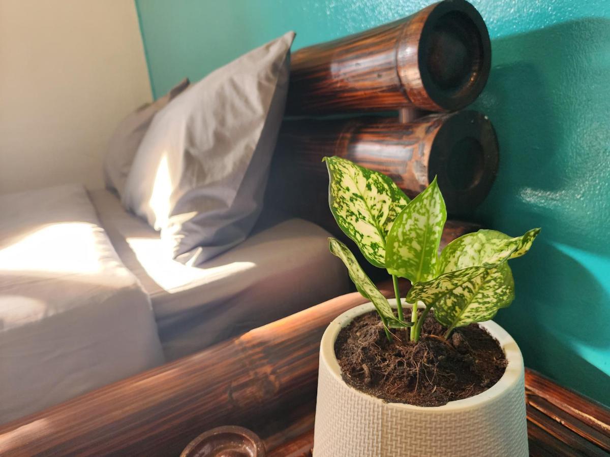 Blue Moon House - A Budget Hostel For Easy Travellers Chiang Mai Exterior foto