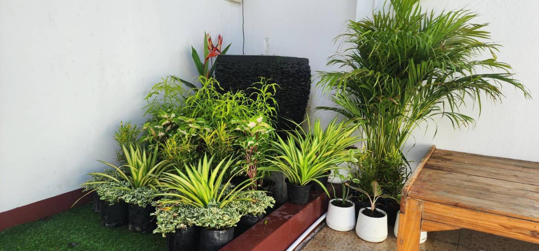 Blue Moon House - A Budget Hostel For Easy Travellers Chiang Mai Exterior foto